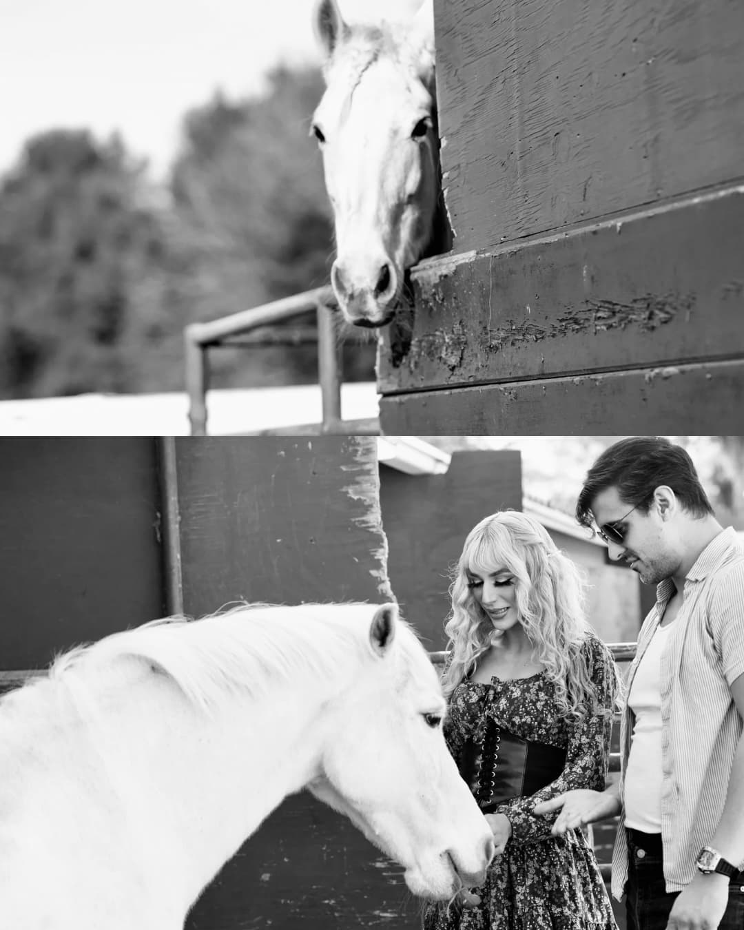 Stables, black and white
